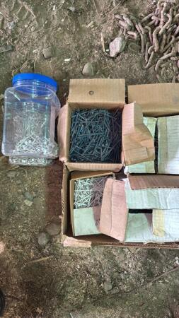 Lot of Assorted Nails
