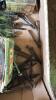 Lot of misc. bolts - 5
