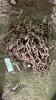 Set of Tire Chains