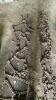 Set of 14.9-26 Tire Chains - 2