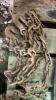 Lot of 3 Logging Chains - 2
