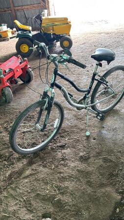 Schwinn Skyliner 21-Speed Bike