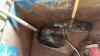 Bruns Steel Feed Cart - 7