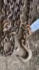 17ft Logging Chain - 2