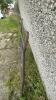 10ft Steel Gate - 4