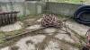 5-Section Diamond Harrows and Pole - 2