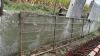 16FT Steel Gate - 2
