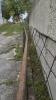 Pair of Steel Shopbilt Gates - 6