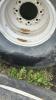 Lot of 4 - 16.5L-16.1SL Tires and 8-Bolt Rims - 4