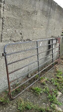 10.5FT Steel Gate