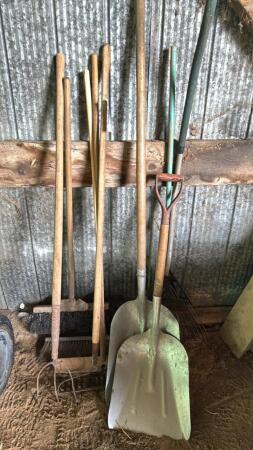 Lot of brooms, 2 aluminum shovels, 3 rakes and pitchfork