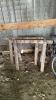 Pair of Sawhorses