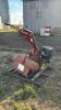 MTD Rear Tine Tiller - 4