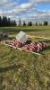 Choretime Chicken Feeder Lot