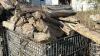 4 Baskets of Firewood - 3