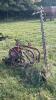 Massey Ferguson 5ft 3pth Sickle Mower - 3