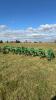 John Deere 6x30 3pth Row Cultivator