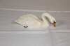 Beswick Swan - 2