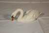 Beswick Swan - 3