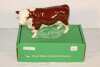 Beswick Polled Hereford Bull