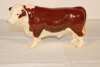 Beswick Polled Hereford Bull - 2