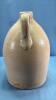 M.C. CARNEY & CO STRATFORD 1 GALLON JUG - 4