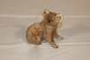 Beswick Koala