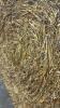 20 - 4X5 ROUND BALES OF CHOPPED STRAW - 3
