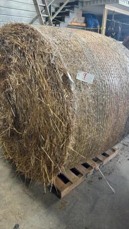 20 - 4X5 ROUND BALES OF STRAW