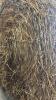 20 - 4X5 ROUND BALES OF STRAW - 2