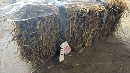 200 SMALL SQUARE BALES OF 1ST CUT 2025 HAY