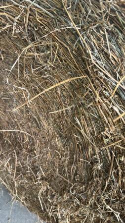 14 - 4X5 ROUND BALES OF 2ND CUT 2024 HAY