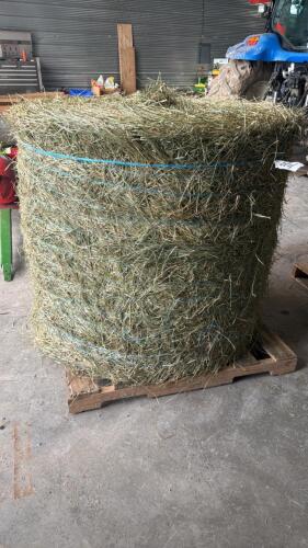 50 - 4X4 ROUND BALES OF 2ND CUT OF HAY