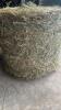 50 - 4X4 ROUND BALES OF 2ND CUT OF HAY - 2