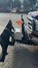 2005 FORD F250 DIESEL CREW CAB 4WD PICKUP - 6