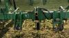 JOHN DEERE 845 3PTH FOLDING 12 ROW SCUFFLER - 8