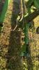 JOHN DEERE 845 3PTH FOLDING 12 ROW SCUFFLER - 11