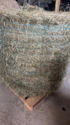 50 - 4X4 ROUND BALES OF 2ND CUT OF HAY