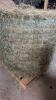 50 - 4X4 ROUND BALES OF 2ND CUT OF HAY