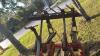 INTERNATIONAL 43 VIBRA-SHANK 18FT CULTIVATOR - 10
