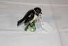 Beswick Stonechat