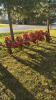 KONGSKILDE VIBRO-CROP 6 ROW 3PTH SCUFFLER