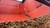 BRUNS 430 GRAVITY WAGON WITH TARP - 8