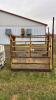 CATTLE SQUEEZE - 2