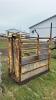 CATTLE SQUEEZE - 3