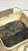 Large Quantity of Staples - 2