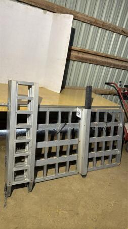 Trailer Hitch Carrier With Ramps