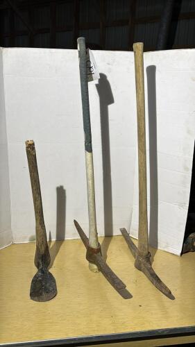 3 Picks