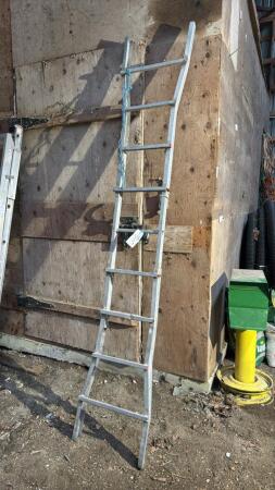Light Duty Extendable Aluminum Ladder