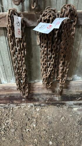 3 LOGGING CHAINS WITH HOOKS